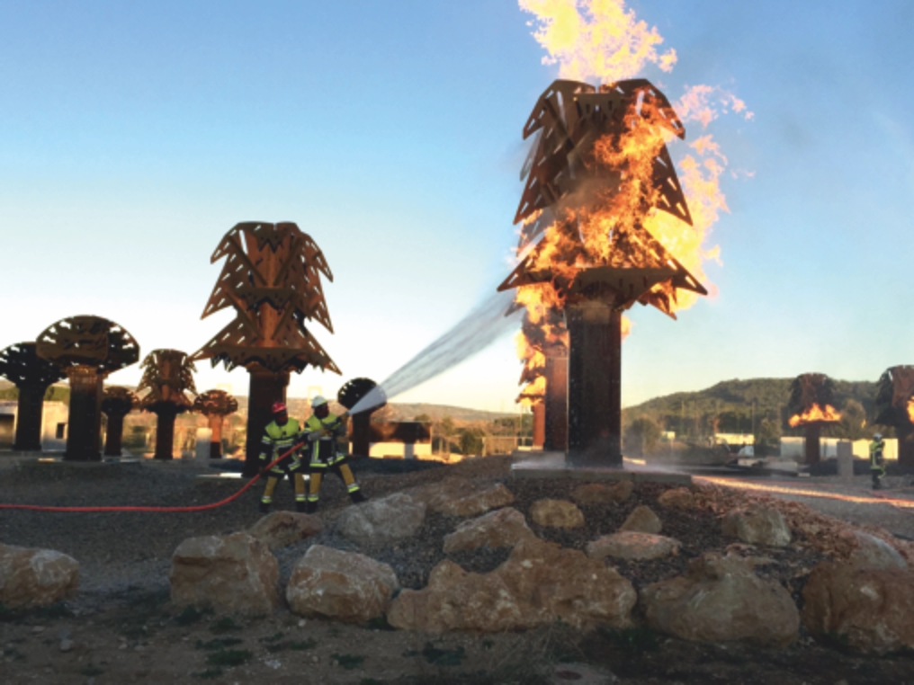 Brand von Pinien